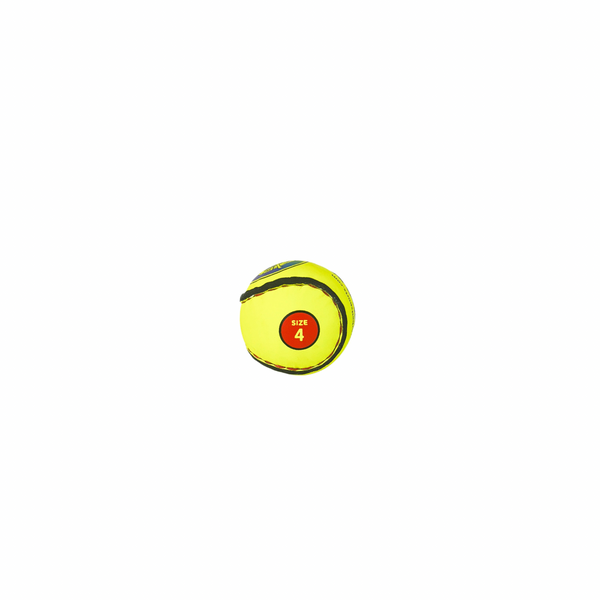 Official Camogie Sliotar Yellow