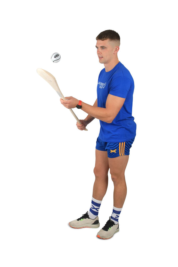 Training Sliotar